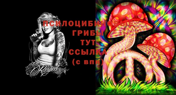 прущая мука Богданович