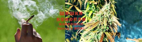 тгк Богородск
